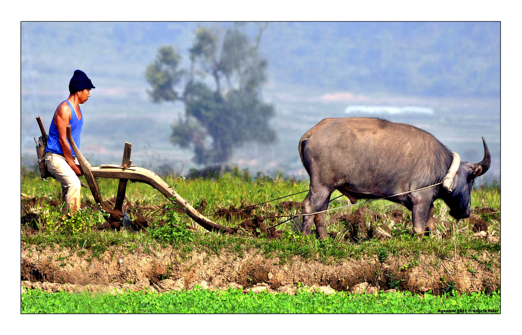 life of myanmar XVI