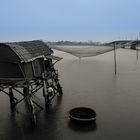 Life on Nhat Le river at Quang Binh, Vietnam