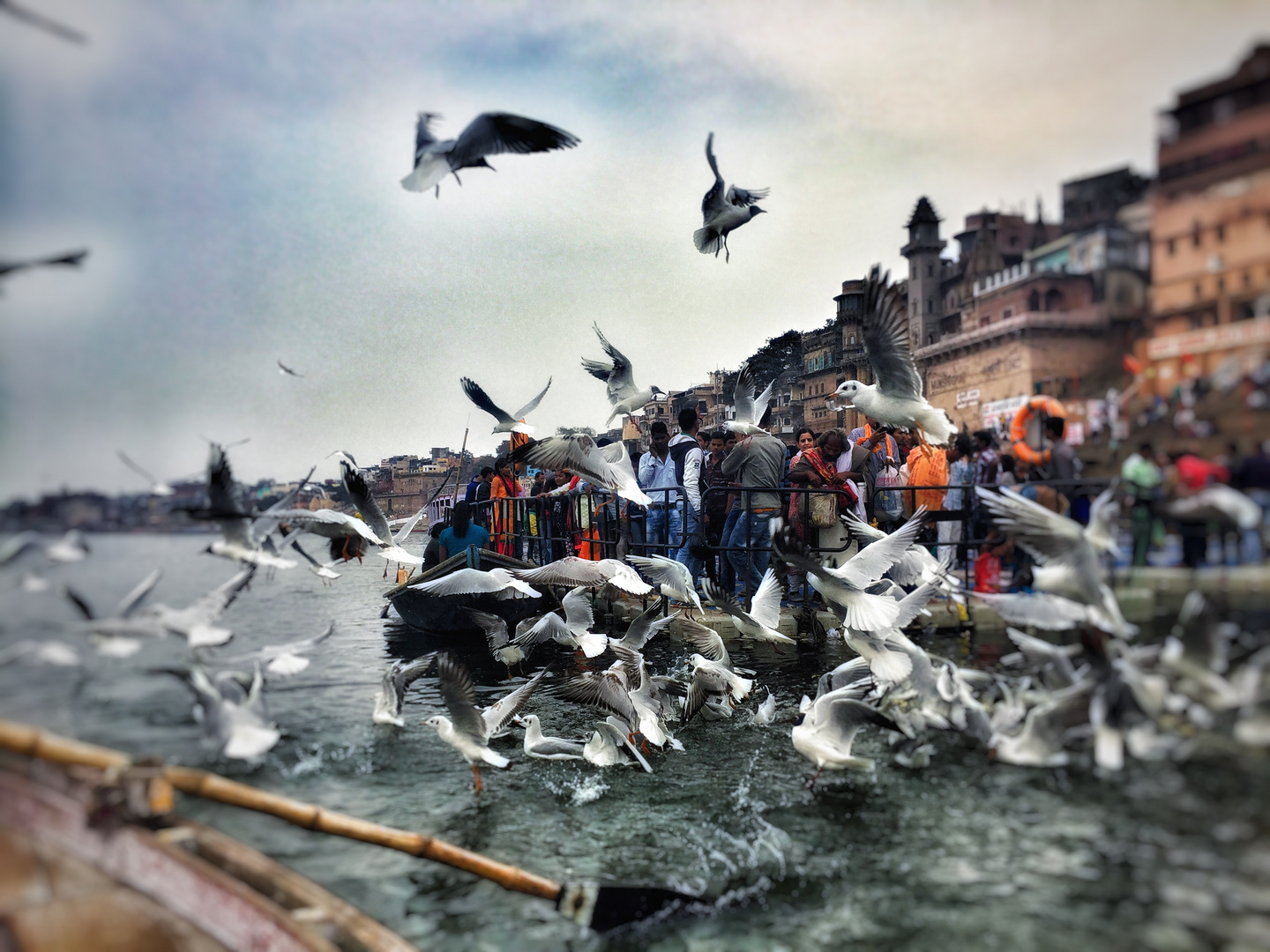 Life on the holy river