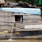 life on the Mekong