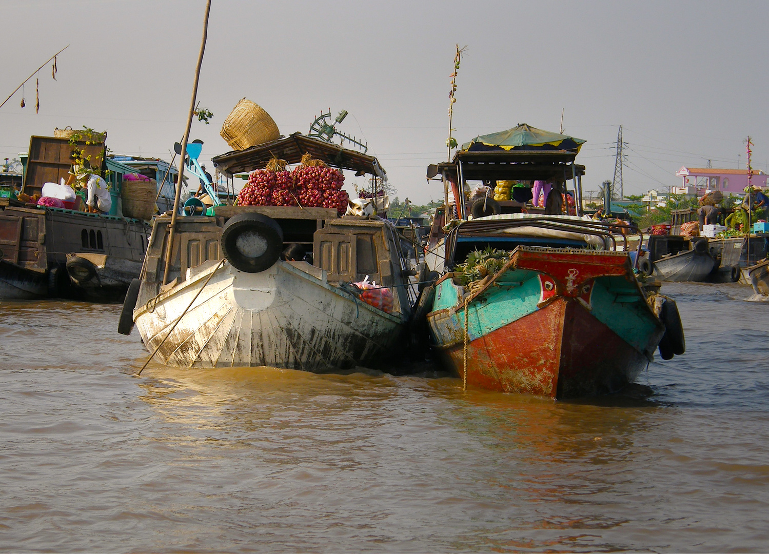 Life on the Mekong River