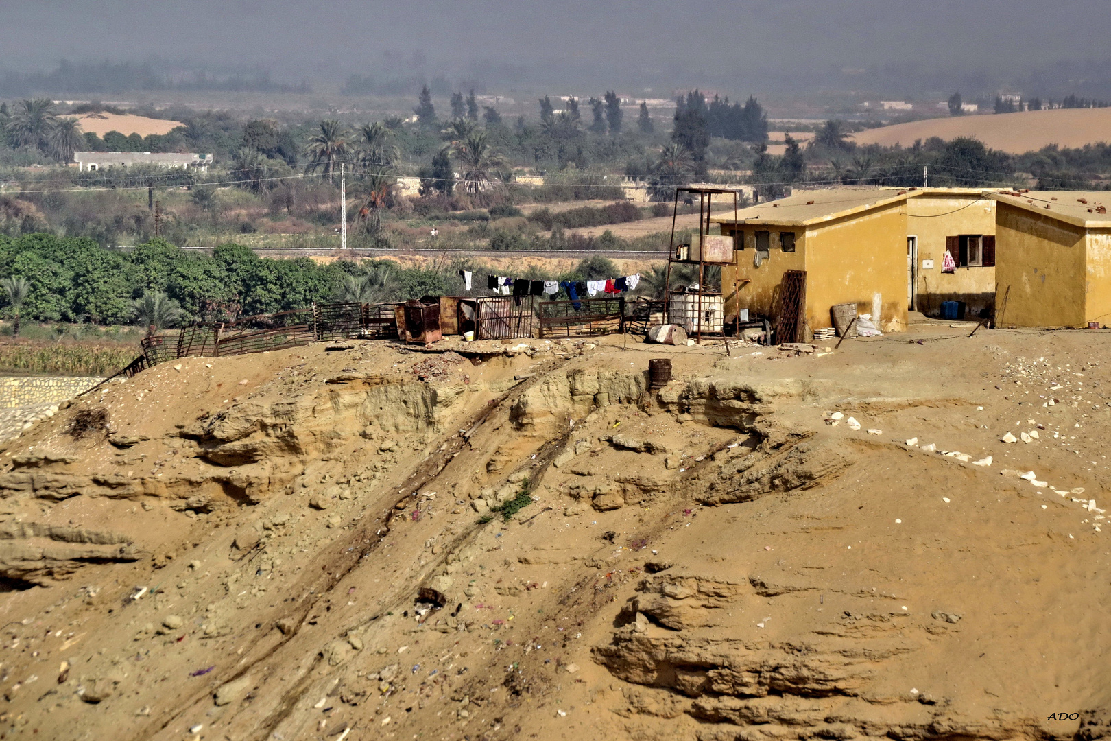 Life on the Shore of the Suez Canal