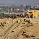 Life on the Shore of the Suez Canal