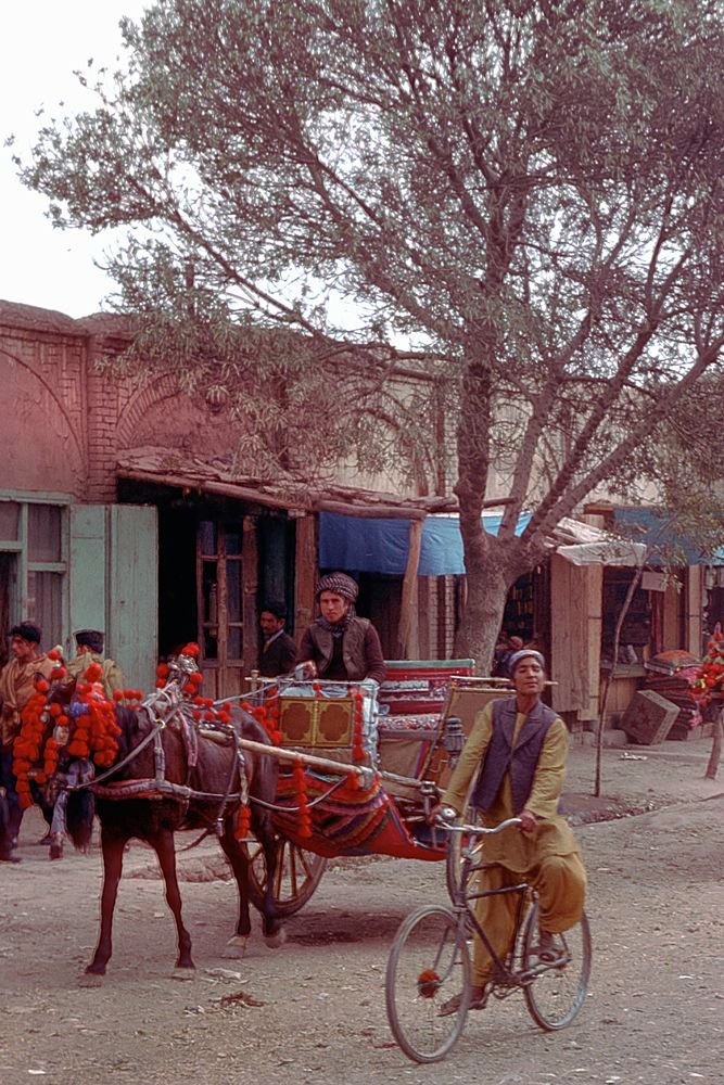 Life on the streets in Herat