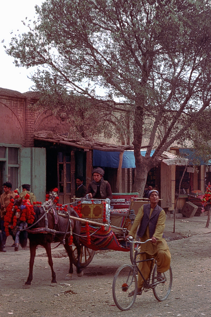 Life on the streets in Herat