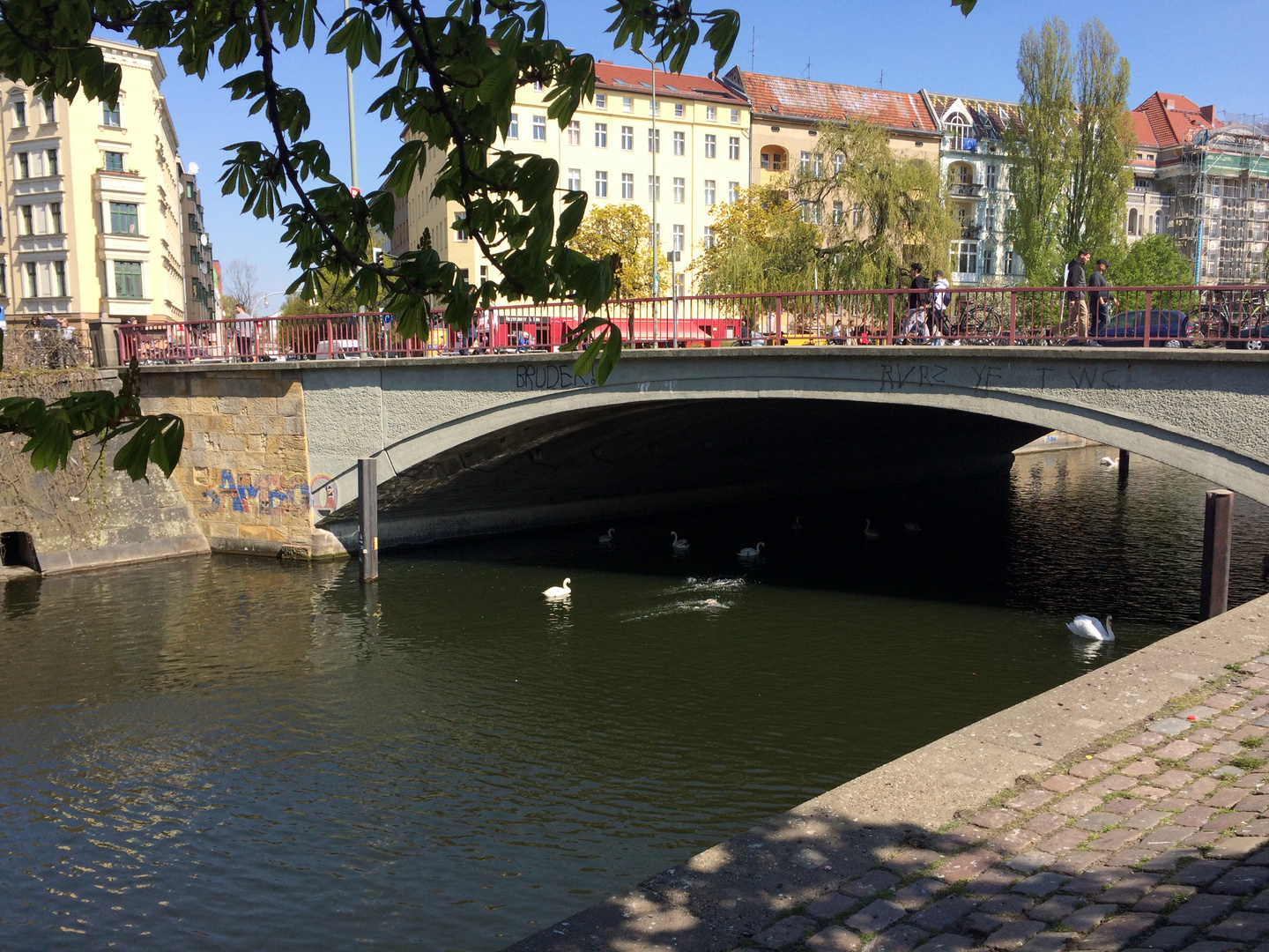 Life under the canal