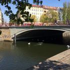 Life under the canal