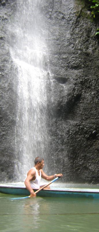 Life Under the Waterfall