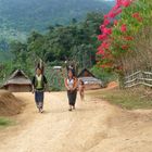 life village near Muang ngoi