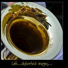 Life...distorted images...