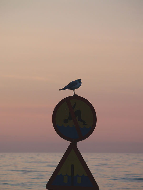 Lifeguard