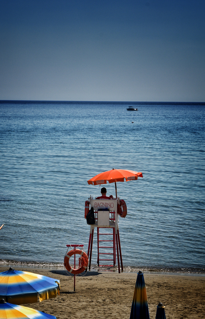 Lifeguard