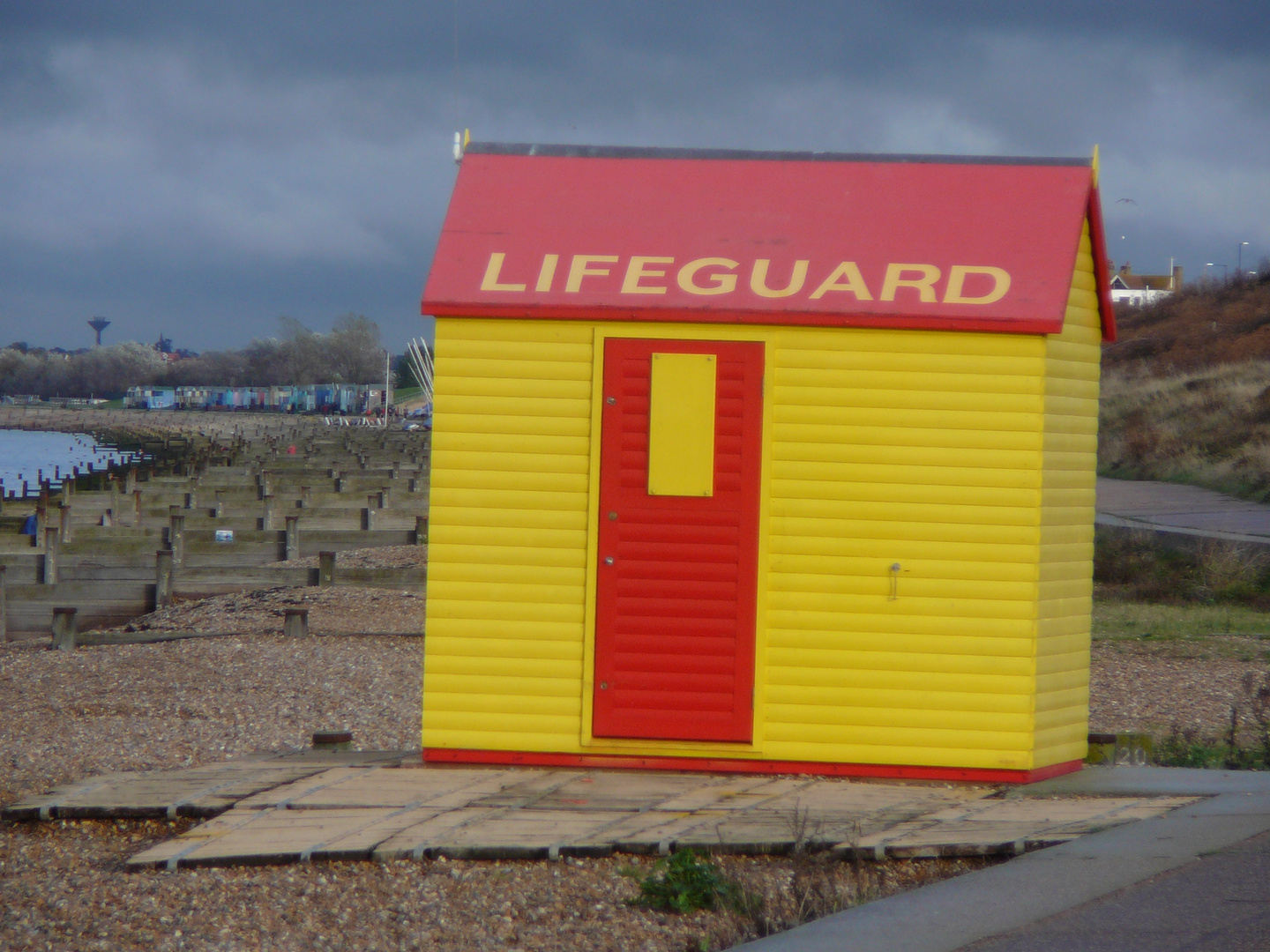 Lifeguard