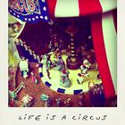 Life's a Circus!