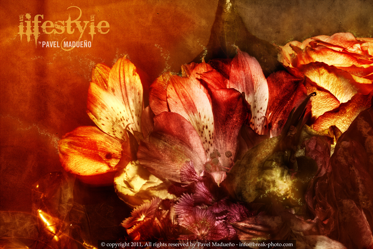 Lifestyle Flowers