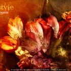 Lifestyle Flowers