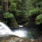 Liffey Falls 2