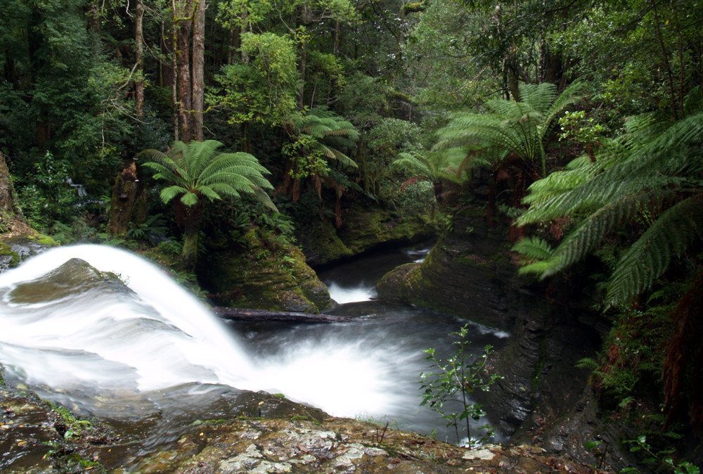 Liffey Falls 2