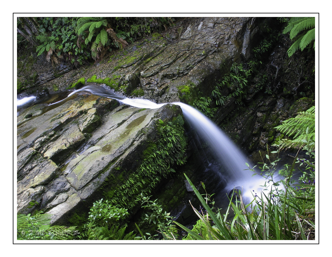 Liffey Falls 2