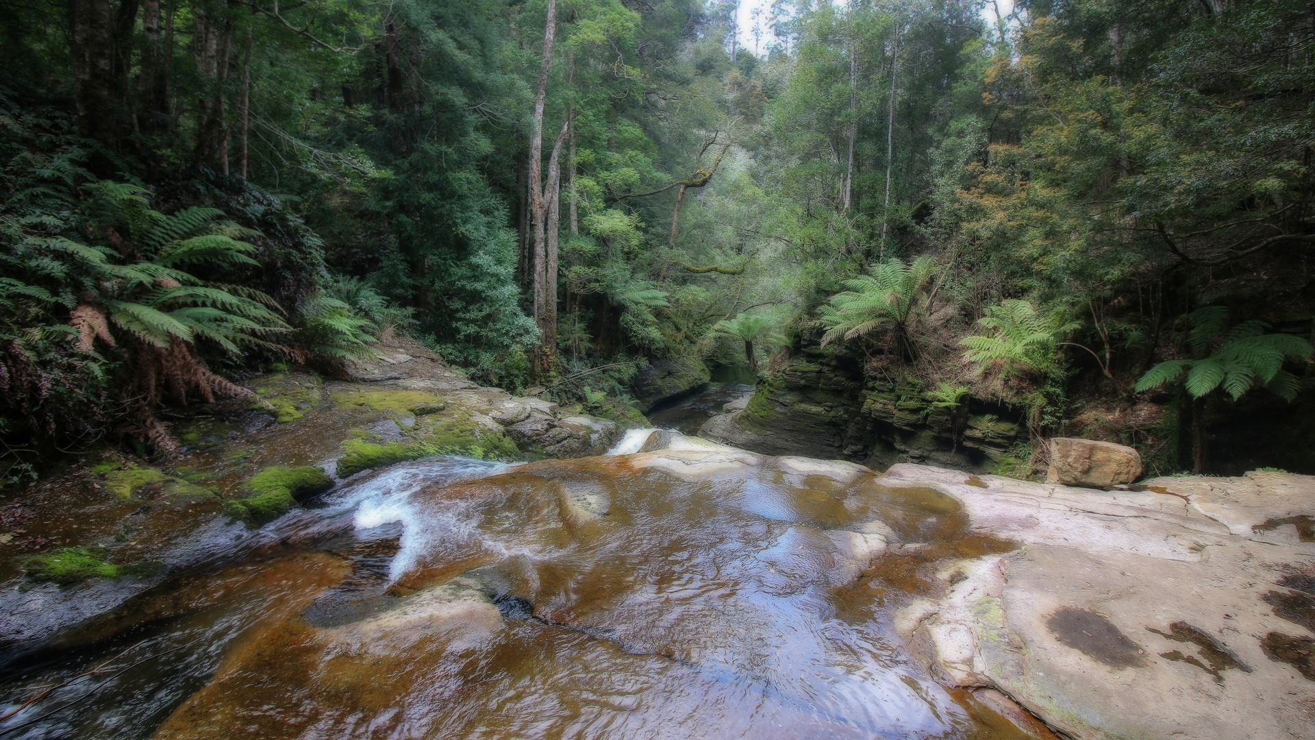 Liffey Falls