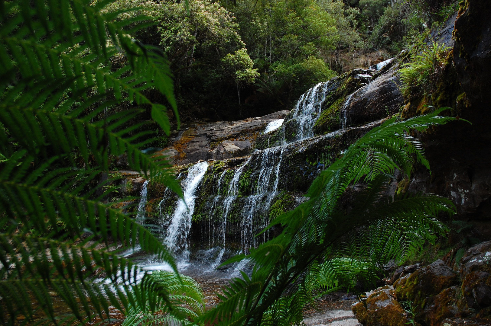 Liffey Falls