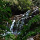 Liffey Falls