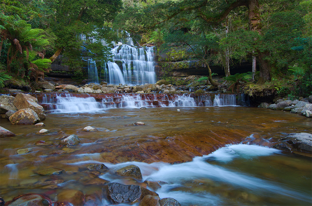 Liffey Falls - Tasmanien