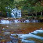 Liffey Falls - Tasmanien