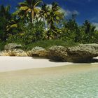 LIFOU PENG BEACH