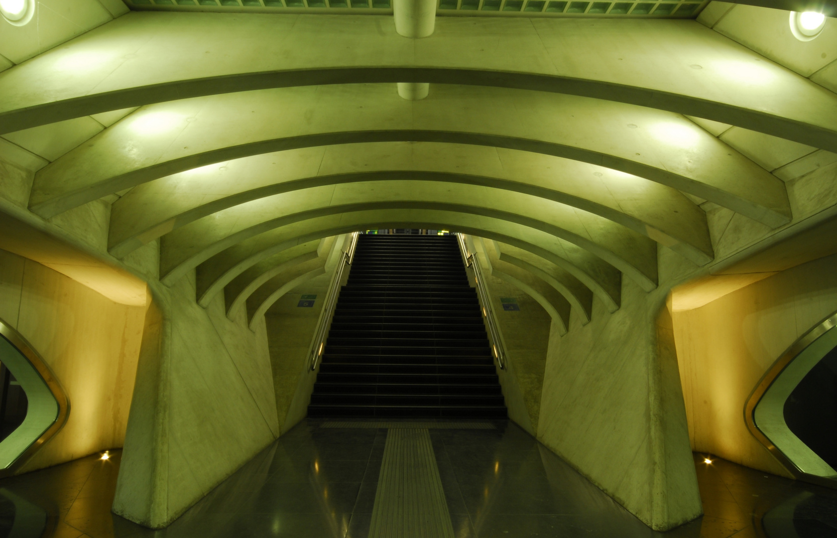 LIÈGE-GUILLEMINS STATION I, BELGIUM