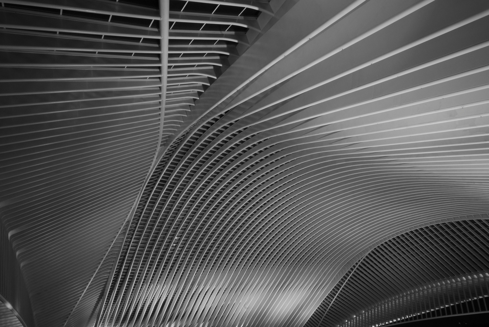 LIÈGE-GUILLEMINS STATION II, BELGIUM