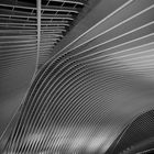 LIÈGE-GUILLEMINS STATION II, BELGIUM