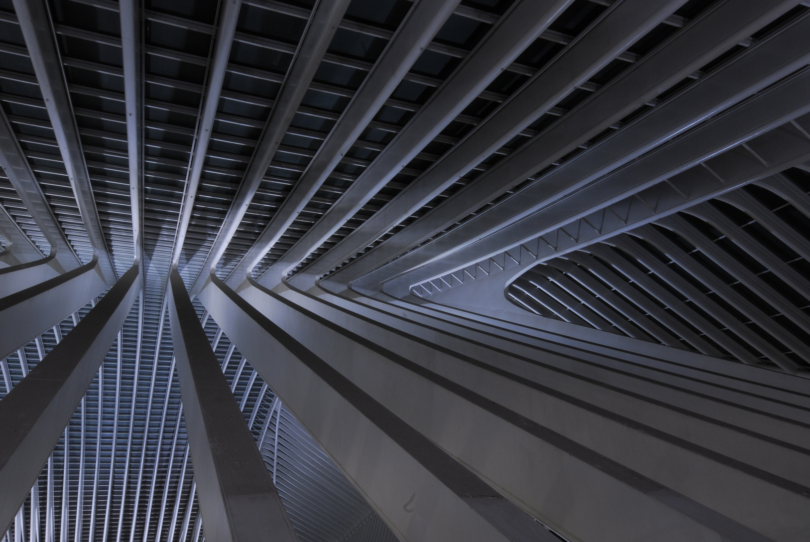 LIÈGE-GUILLEMINS STATION V, BELGIUM