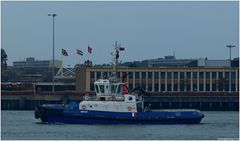 LIGER / Tug / Rotterdam