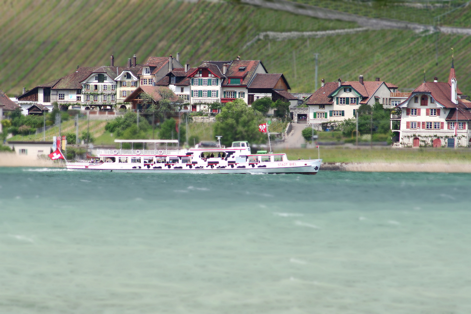 Ligerz am Bielersee TS