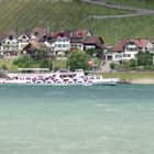 Ligerz am Bielersee TS