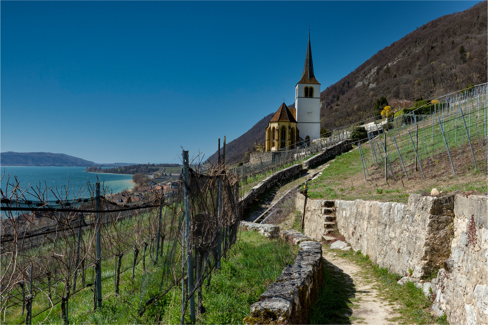 Ligerz Kirche