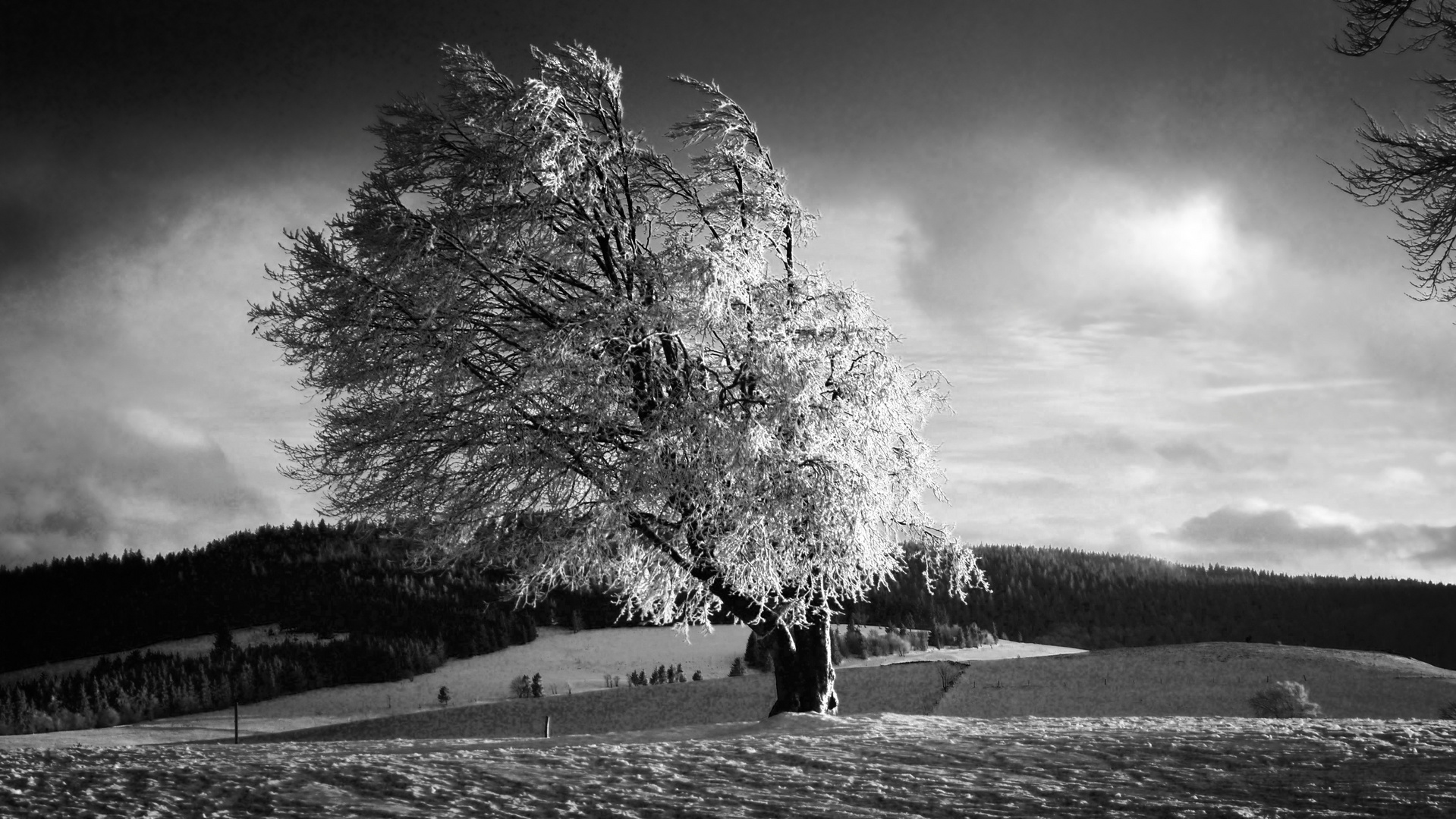 light and shadow