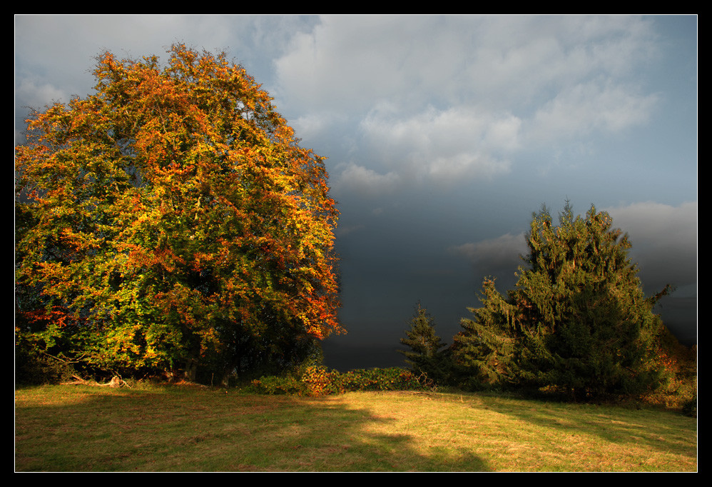 Light and shadow...