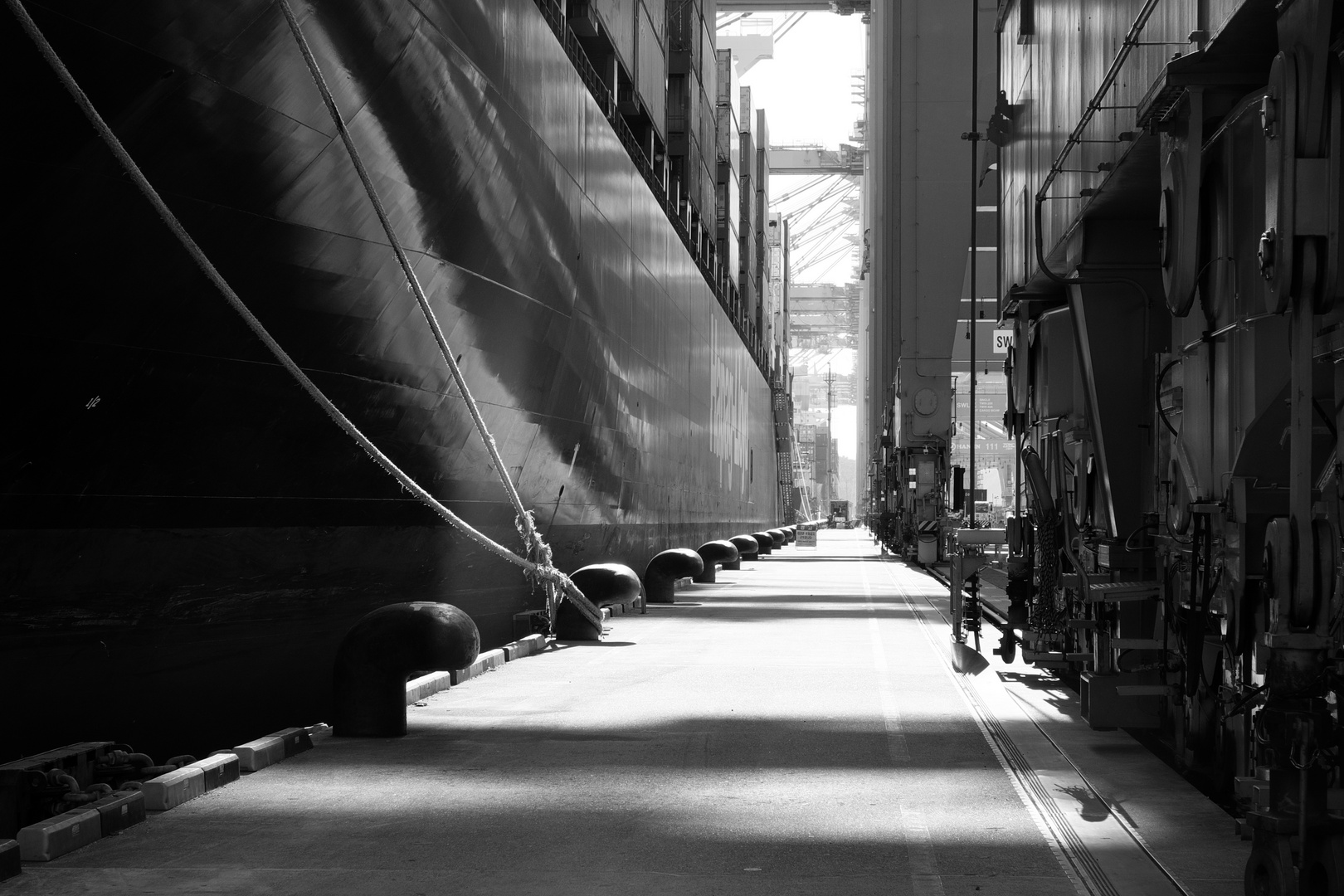 light and shadow and one endless row of bollards