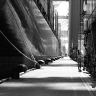 light and shadow and one endless row of bollards