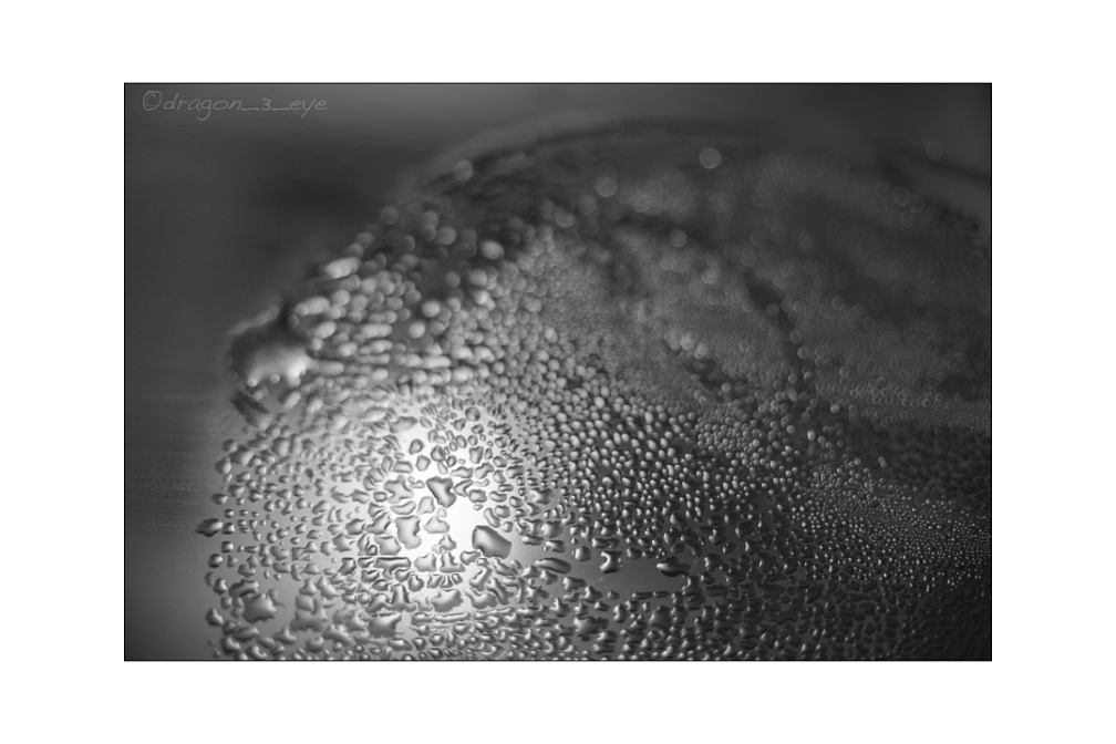 Light and Water 