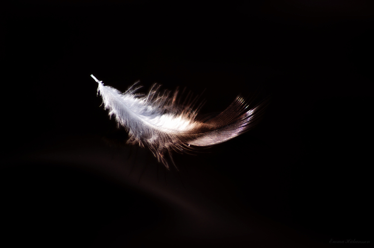 Light as feather photo & image | abstract nature, images at photo community