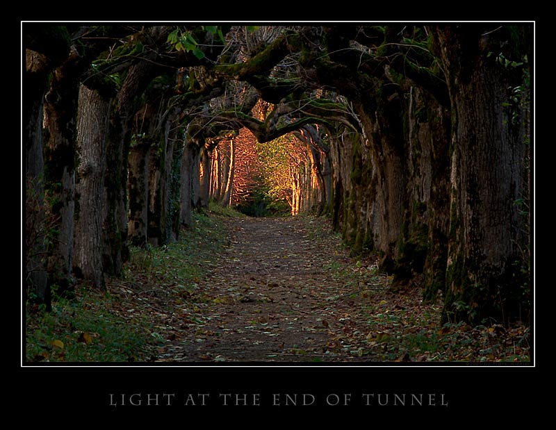 Light At The End Of Tunnel
