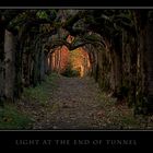 Light At The End Of Tunnel