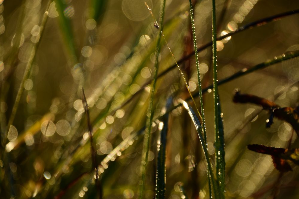 Light Bubbles