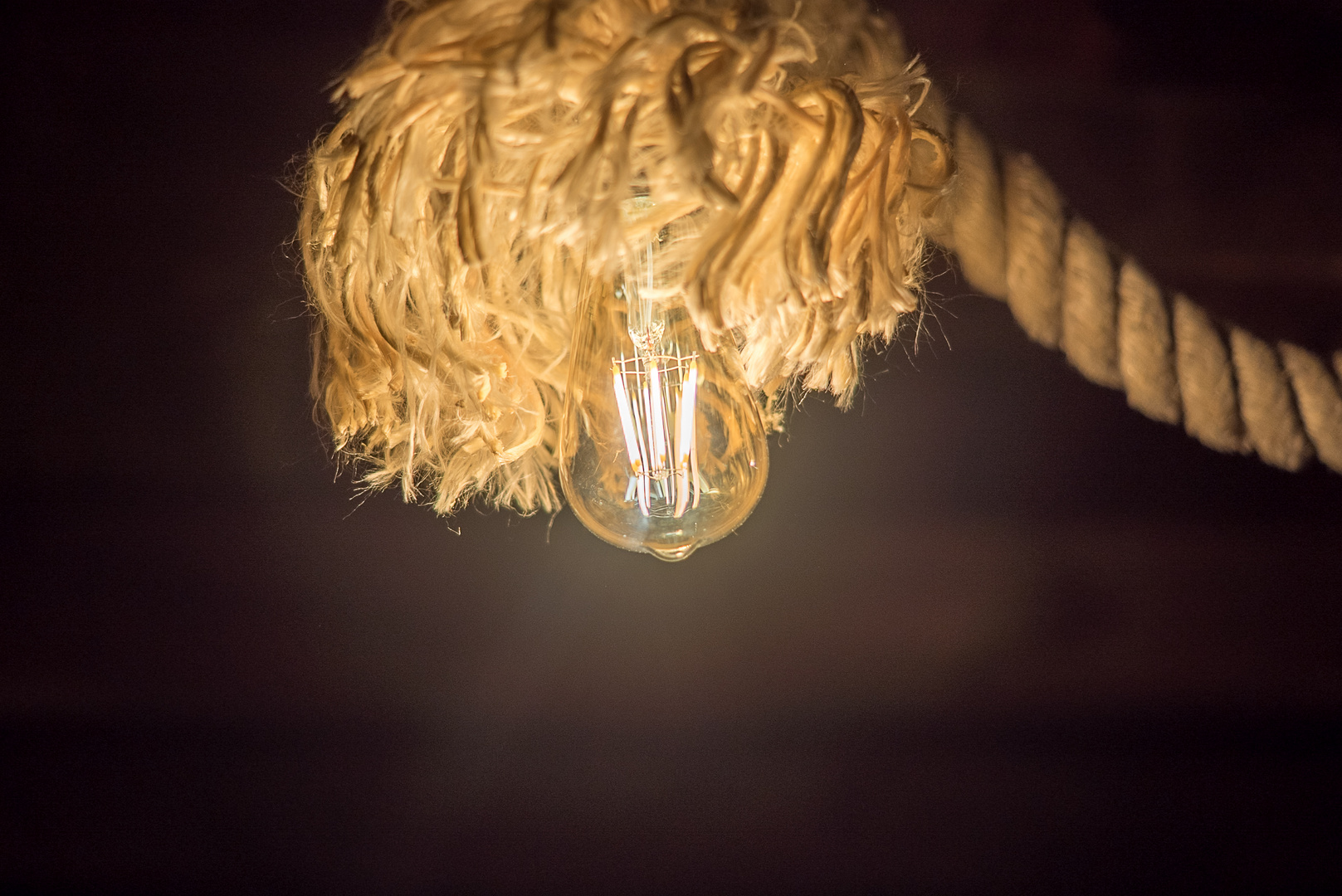 light bulb