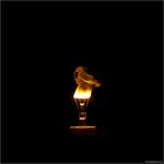 Light Bulb I