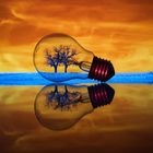 Light Bulb Reflections