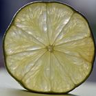 Light comes through a Lime slice